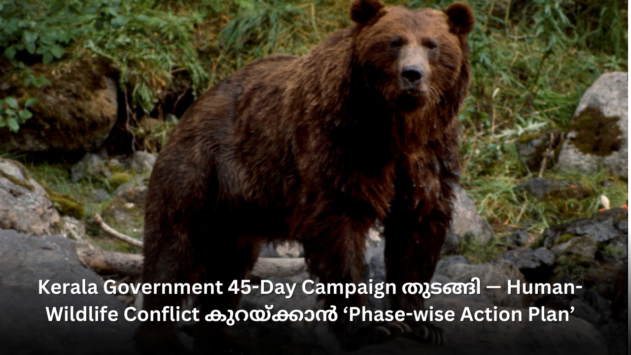 Kerala Launches 45-Day Campaign to Tackle Human-Wildlife Conflict