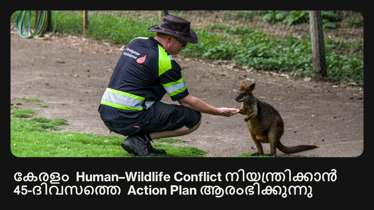 കേരളം Human–Wildlife Conflict നിയന്ത്രിക്കാൻ 45-ദിവസത്തെ Action Plan ആരംഭിക്കുന്നു